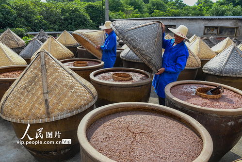 晴好天气酿晒酱油