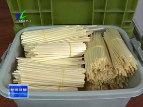 创业者杨丽丽 让非物质文化遗产走进寻常百姓家