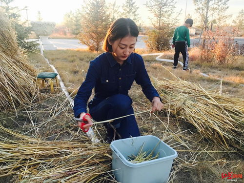 乡村 李佳琦 们年入几十万的秘密