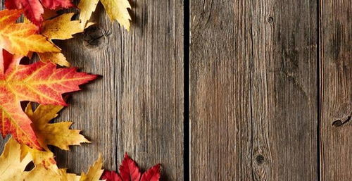 独立站联盟营销流程