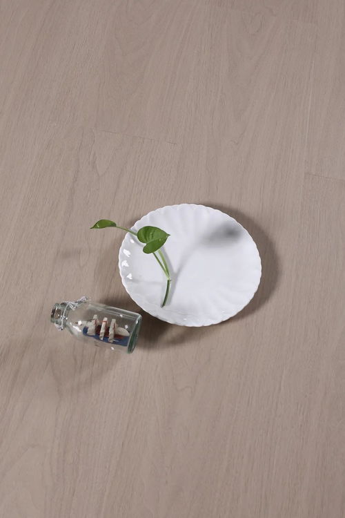 纯真系列 肯帝亚地板麦秸画产品图赏析