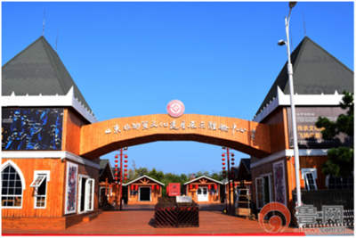 青岛西海岸新区山东非物质文化遗产展示体验中心开园迎客 一叶麦秸画乾坤